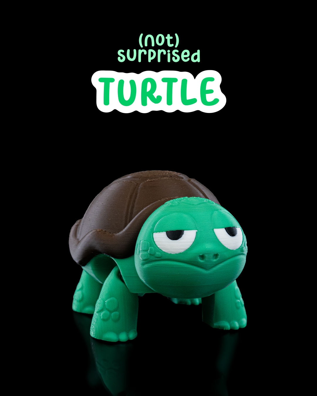 Not Surprised Turtle