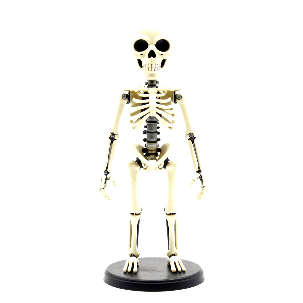 Flexi Skeleton